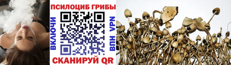 Псилоцибиновые грибы Psilocybine cubensis  Свободный 